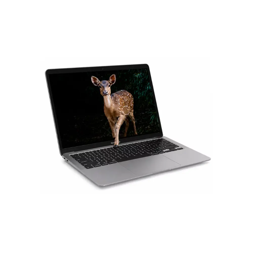 2.webp