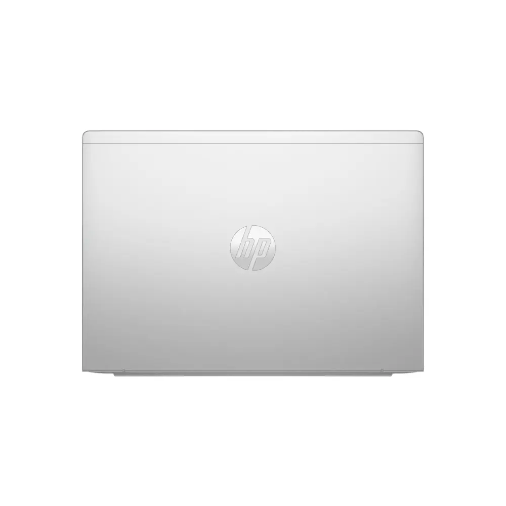 4.webp