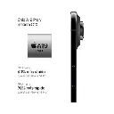 4.webp