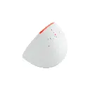 3.webp